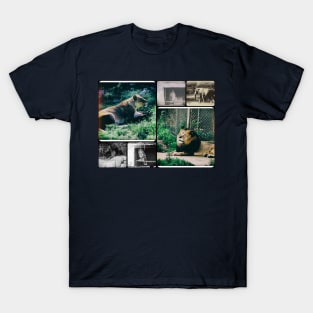 Vintage Animal Collage T-Shirt